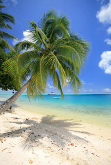 Хуахин, Таити