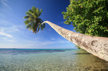 Муреа, Таити