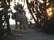 Марбелья, Испания