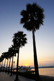 Марбелья, Испания