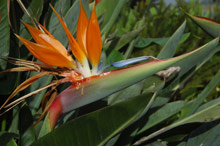 Марбелья, Испания