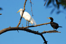 Озеро Комо, Италия