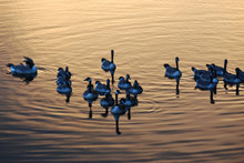 Озеро Комо, Италия