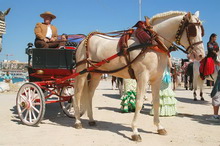 Коста Бланка, Испания