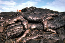 Остров Гавайи (Гавайи), США