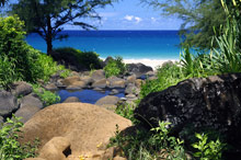 Остров Мауи (Гавайи), США