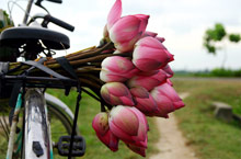 Хойан (Hoi An), Вьетнам