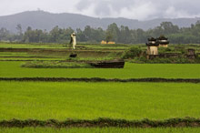 Хойан (Hoi An), Вьетнам