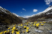 Кран Монтана, Швейцария