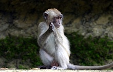 Остров Краби, Тайланд