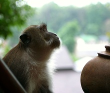Остров Краби, Тайланд