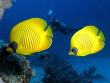 Марса Алам, Египет