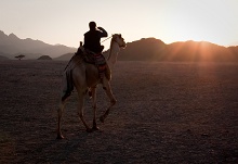 Марса Алам, Египет