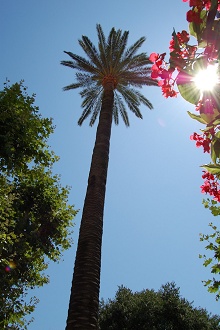 Антиб и Кап д`Антиб, Франция