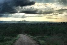 Крюгер парк, ЮАР