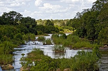 Крюгер парк, ЮАР