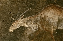 Драконовы горы (Дракенсберг), ЮАР