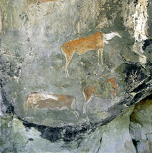 Драконовы горы (Дракенсберг), ЮАР