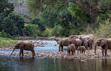Водопад Виктория и Национальный парк, Зимбабве