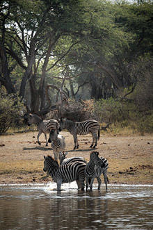 Водопад Виктория и Национальный парк, Зимбабве