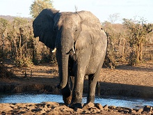 Ливингстон и Водопад Виктория, Замбия