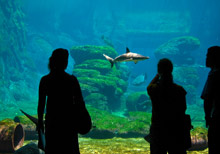 Дурбан, ЮАР