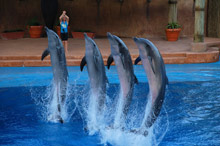 Дурбан, ЮАР