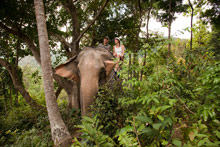 Остров Панган, Тайланд