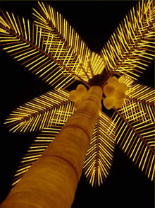 Шарм Эль Шейх, Египет