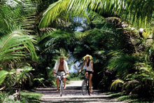 Манихи, Таити