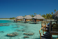 Манихи, Таити