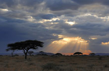 Остров Занзибар, Танзания