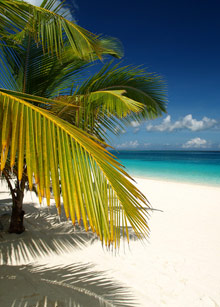 Остров Занзибар, Танзания