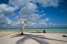 Остров Занзибар, Танзания