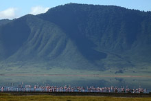 Заповедник Нгоронгоро, Танзания