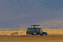 Заповедник Нгоронгоро, Танзания