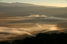 Заповедник Нгоронгоро, Танзания