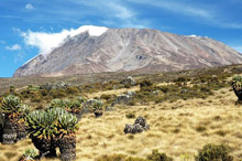 Национальный парк Килиманджаро, Танзания