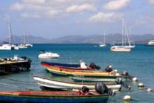 Остров Мартиника, Мартиника