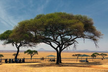 Национальный парк Тарангире, Танзания