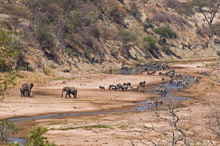 Национальный парк Тарангире, Танзания