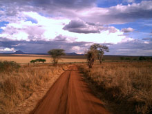 Национальный парк Тарангире, Танзания