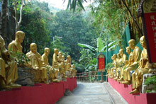 Гонконг, Гонконг