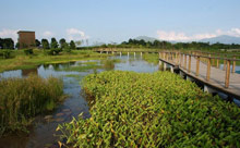 Гонконг, Гонконг