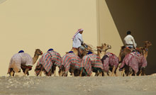 Аль-Аин, ОАЭ