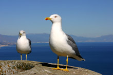 Коста дель Соль, Испания