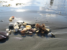 Юрмала, Латвия