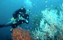 Пхи-Пхи, Тайланд