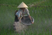 Остров Фукуок, Вьетнам