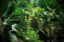 Остров Раунд (Round Island), Сейшельские острова